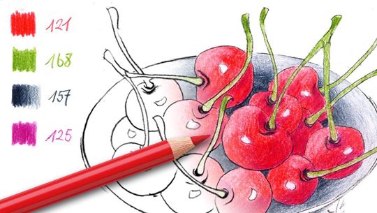 Colouring cherries with a red pencil.